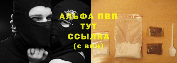 спиды Новый Уренгой