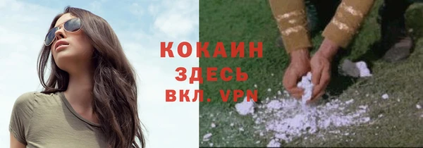 мяу мяу мука Медвежьегорск