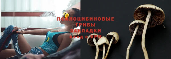 соль ск Михайлов
