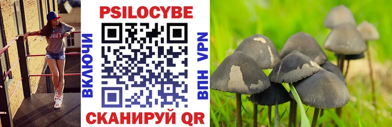 Псилоцибиновые грибы мухоморы  где можно купить   Отрадная 
